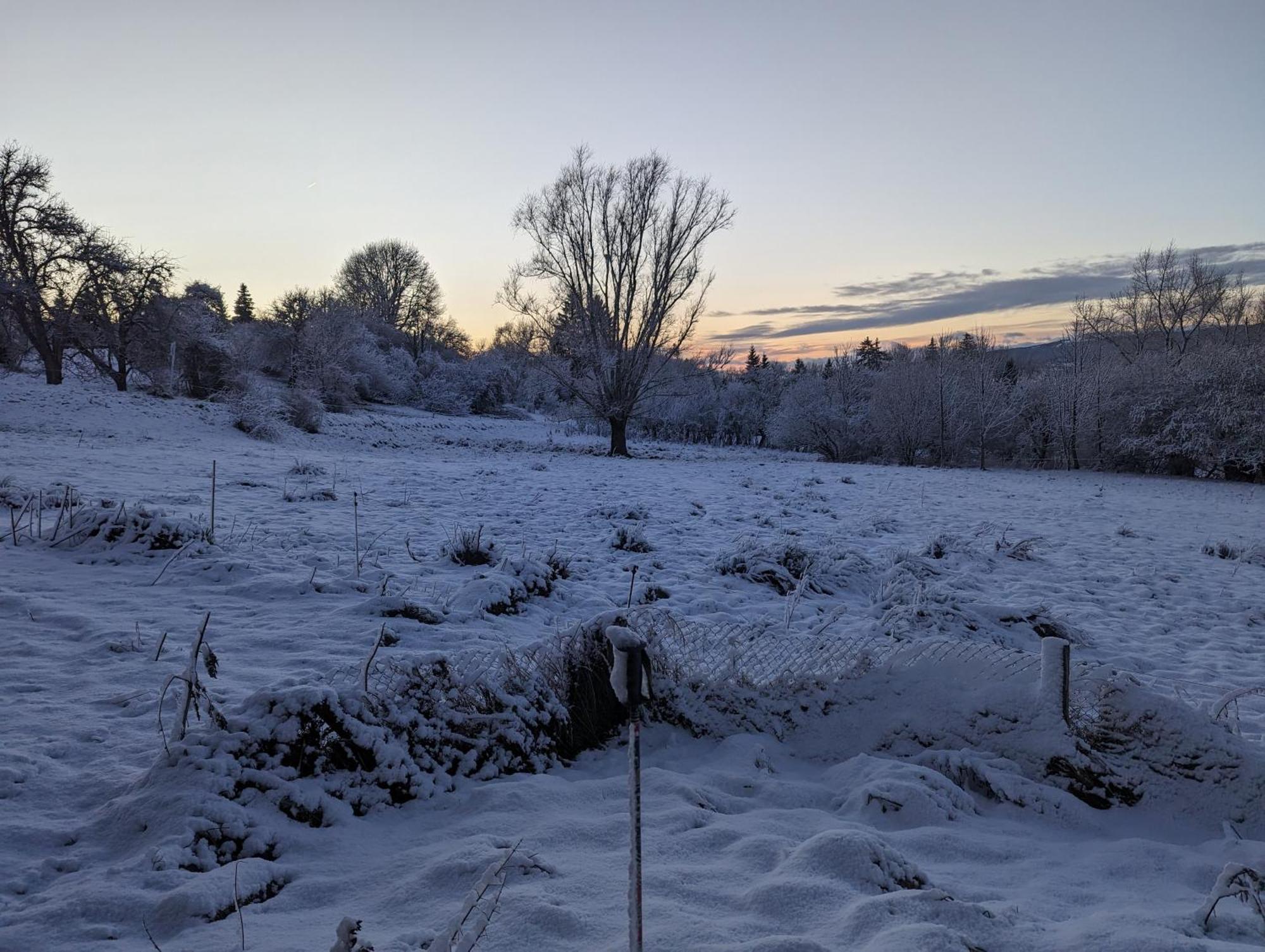 Domaine De La Griffe - Chambres D'Hotes "Roche Parnal" 福隆河畔的拉·罗什 外观 照片
