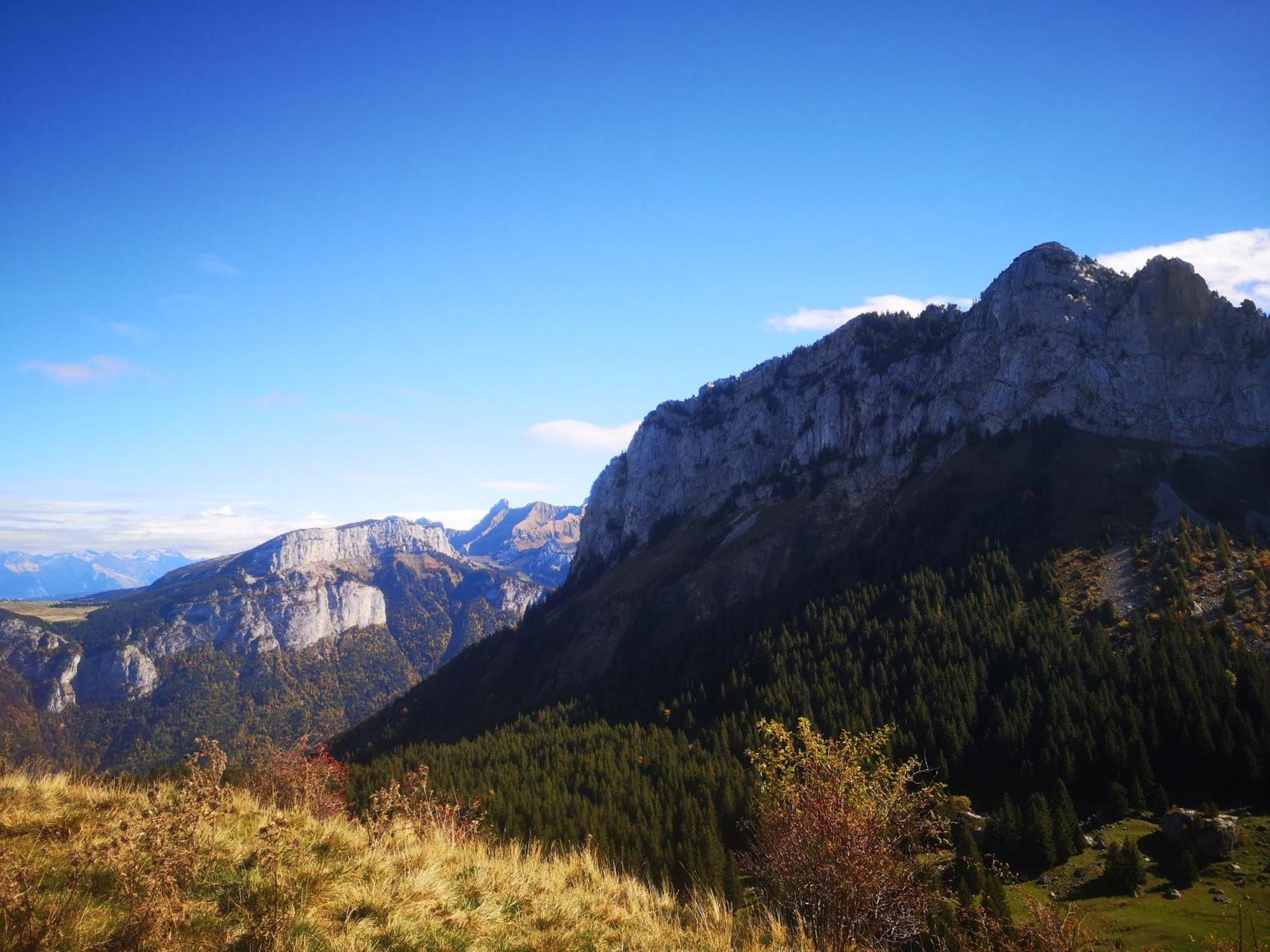 Domaine De La Griffe - Chambres D'Hotes "Roche Parnal" 福隆河畔的拉·罗什 外观 照片