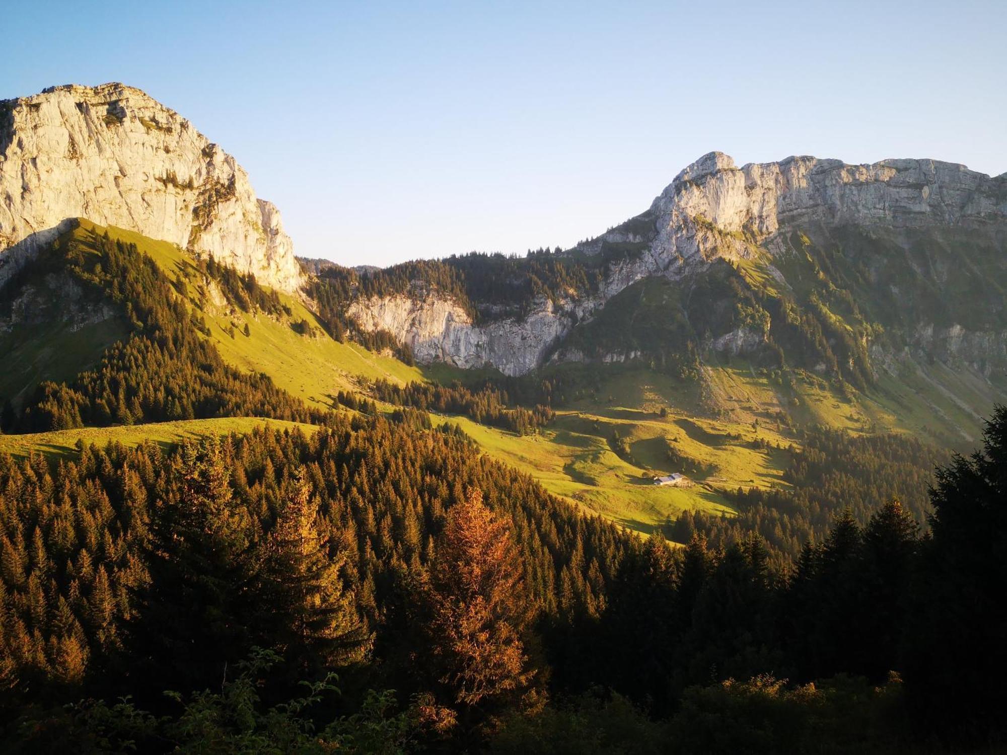 Domaine De La Griffe - Chambres D'Hotes "Roche Parnal" 福隆河畔的拉·罗什 外观 照片